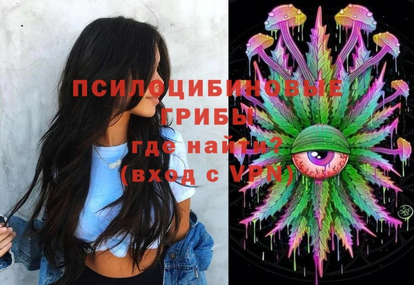 MDMA Туринск