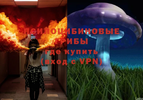 молекула духа Пролетарск