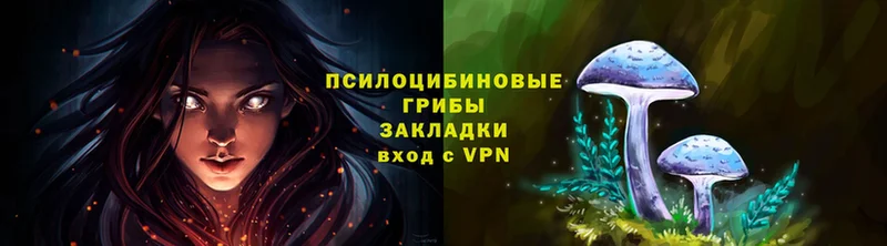Галлюциногенные грибы GOLDEN TEACHER Вольск