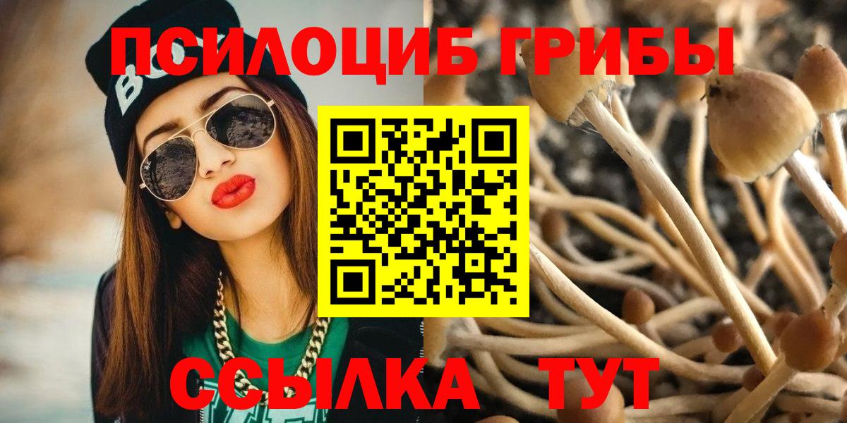 Псилоцибиновые грибы прущие грибы  Вольск 
